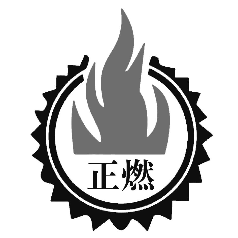 商标文字正燃商标注册号 54662578,商标申请人安徽正