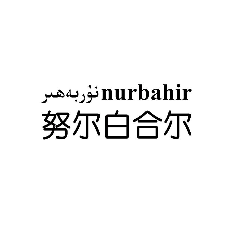 商标名称努尔白合尔 nurbahir商标注册号 65543496,商标申请人新疆