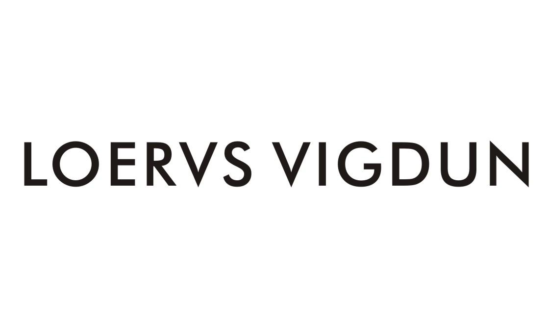转让商标-LOERVS VIGDUN