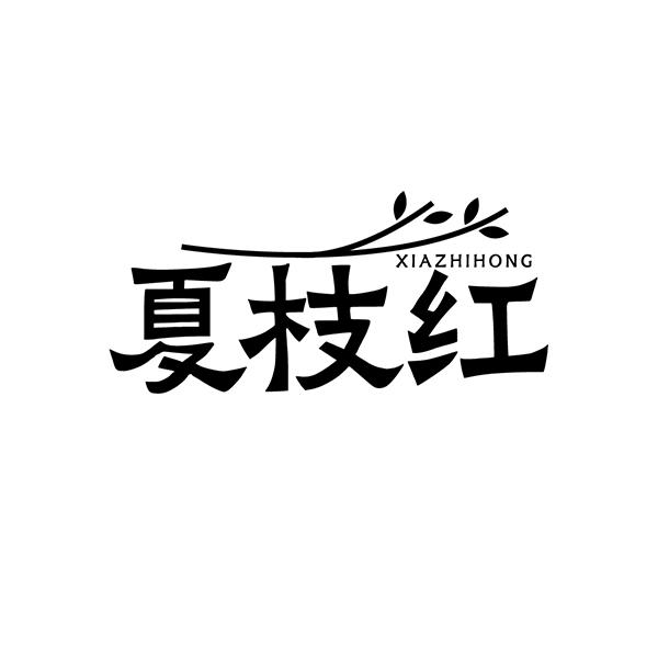 转让商标-夏枝红