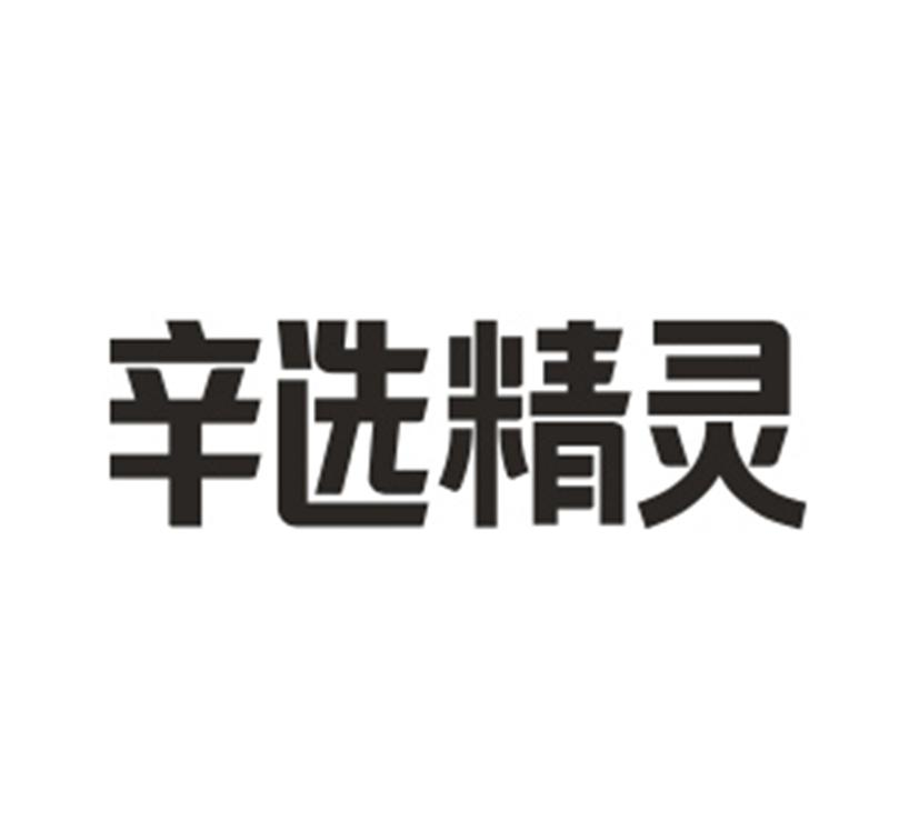 辛有志严选logo图片