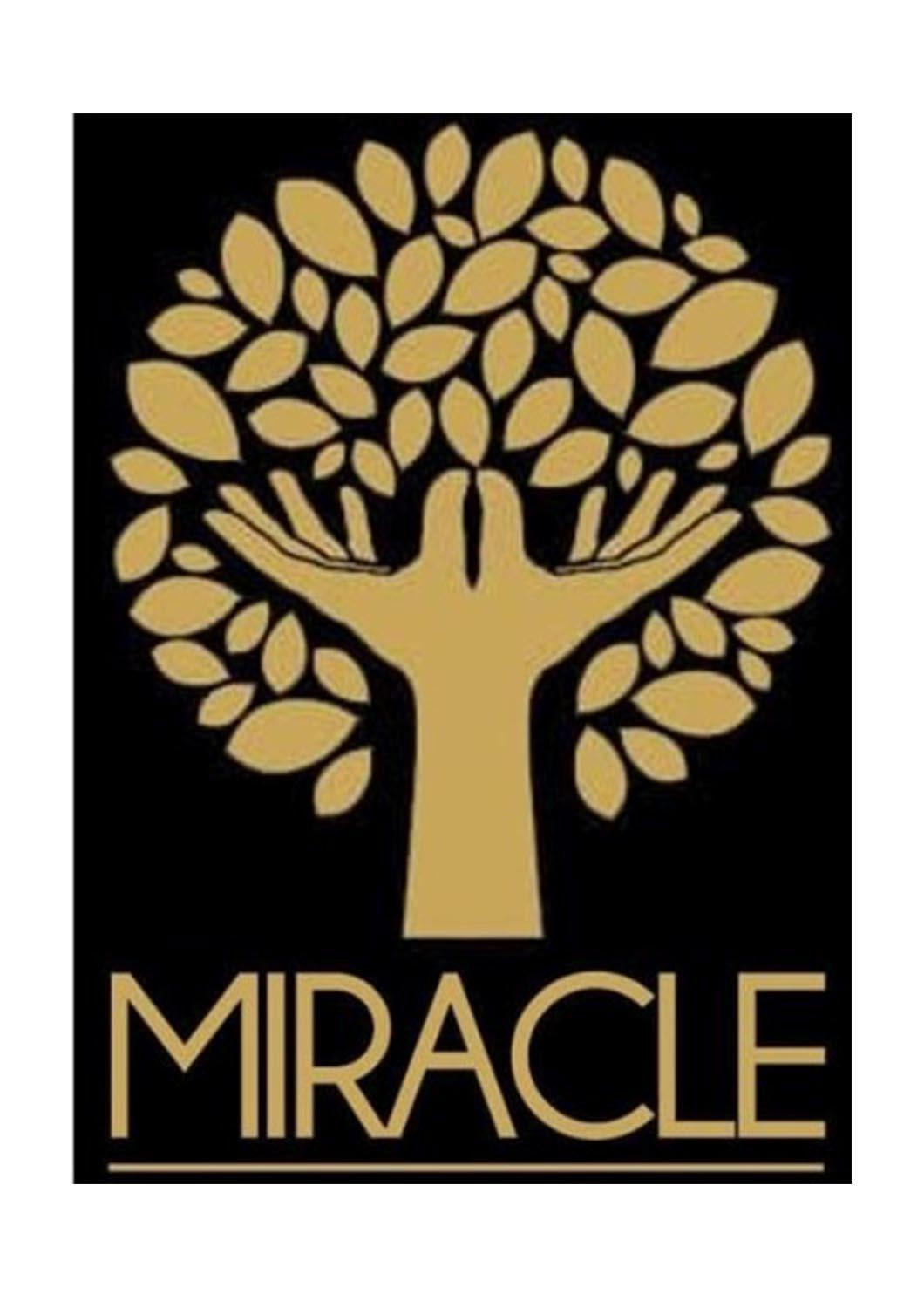 miracle艺术字体图片
