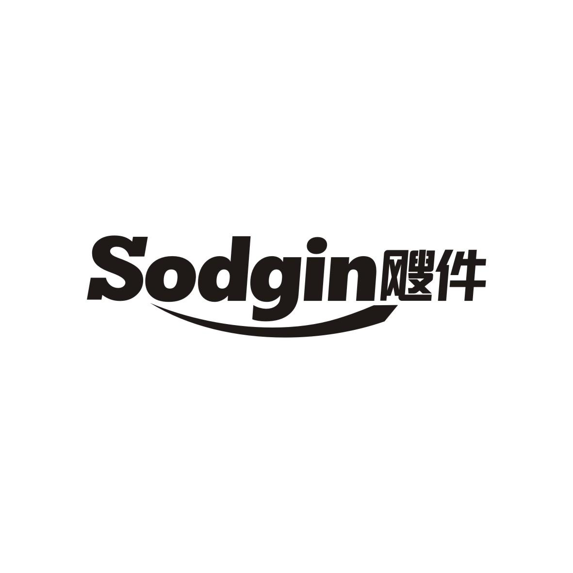转让商标-SODGIN飕件