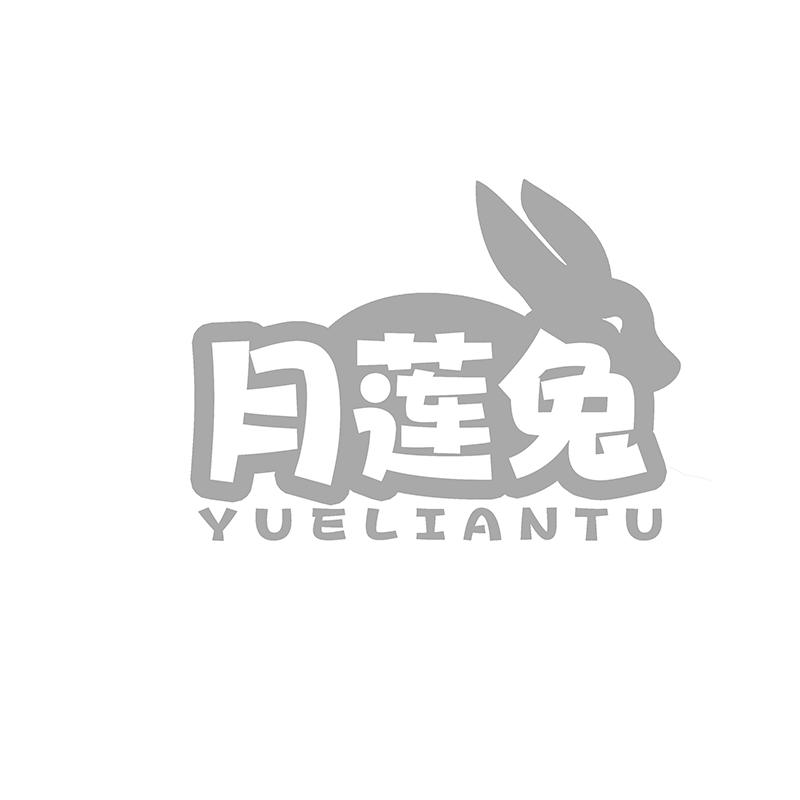转让商标-月莲兔
