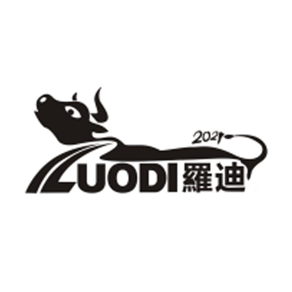 商标文字罗迪 2021商标注册号 54126299,商标申请人浙江罗迪机电科技