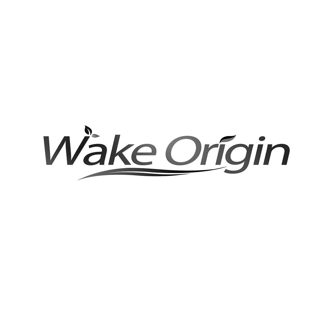 转让商标-WAKE ORIGIN