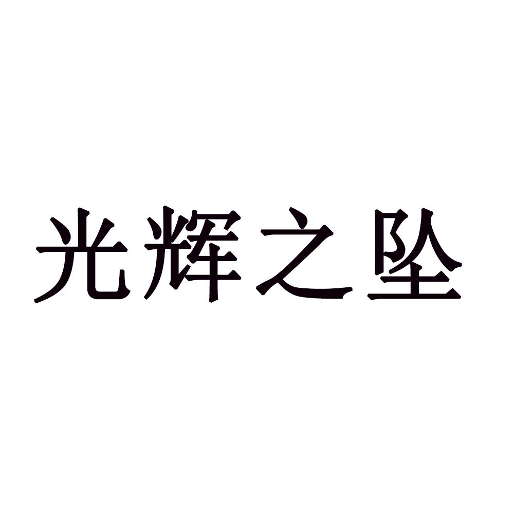 转让商标-光辉之坠