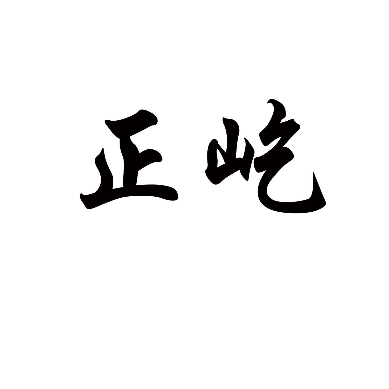 商标文字正屹商标注册号 47606432,商标申请人临沂汇亿通新材料科技