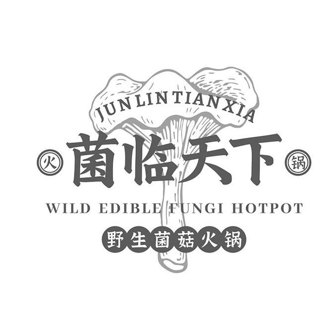 商标文字菌临天下 火锅 野生菌菇火锅 wild edible fungi hotpot商标