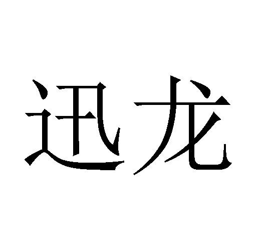 商标文字迅龙商标注册号 27532154,商标申请人义乌市迅龙塑胶制品有限