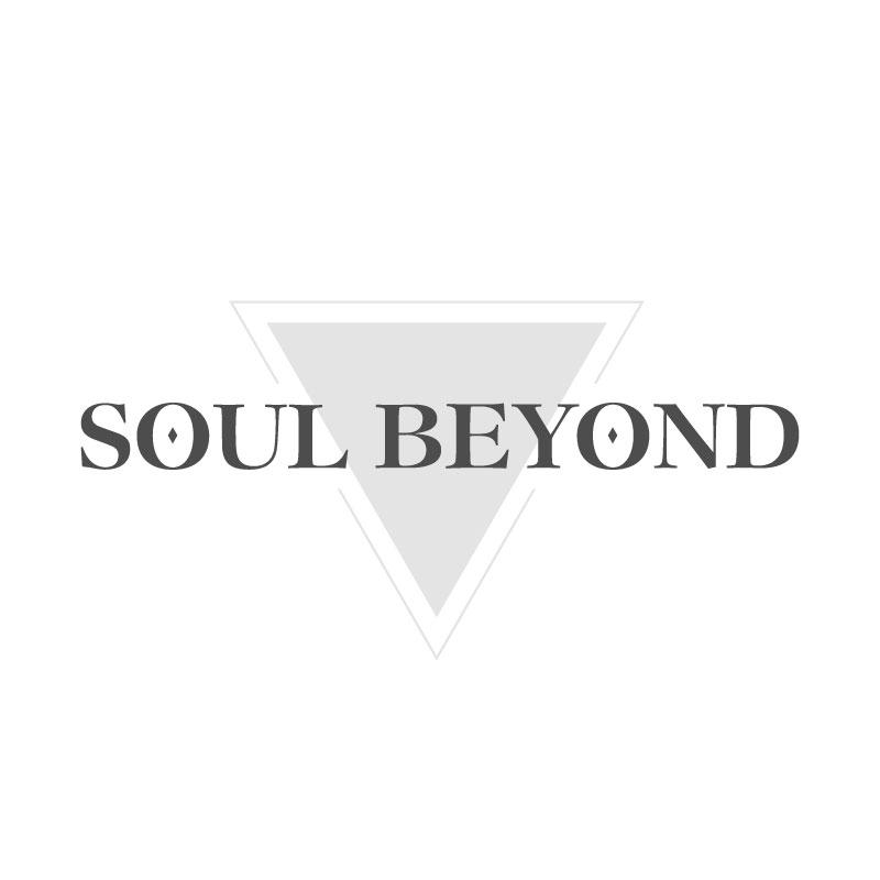 转让商标-SOUL BEYOND