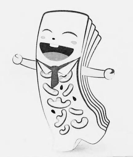 商标文字图形商标注册号 48943061,商标申请人重庆市合川区同德福桃片