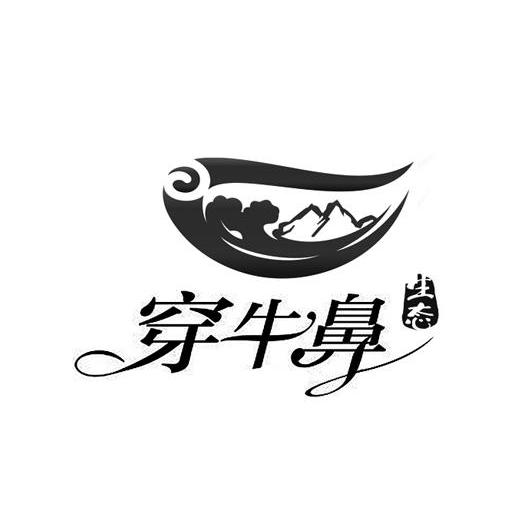 商标文字穿牛鼻生态商标注册号 12612522,商标申请人马边穿牛鼻旅游