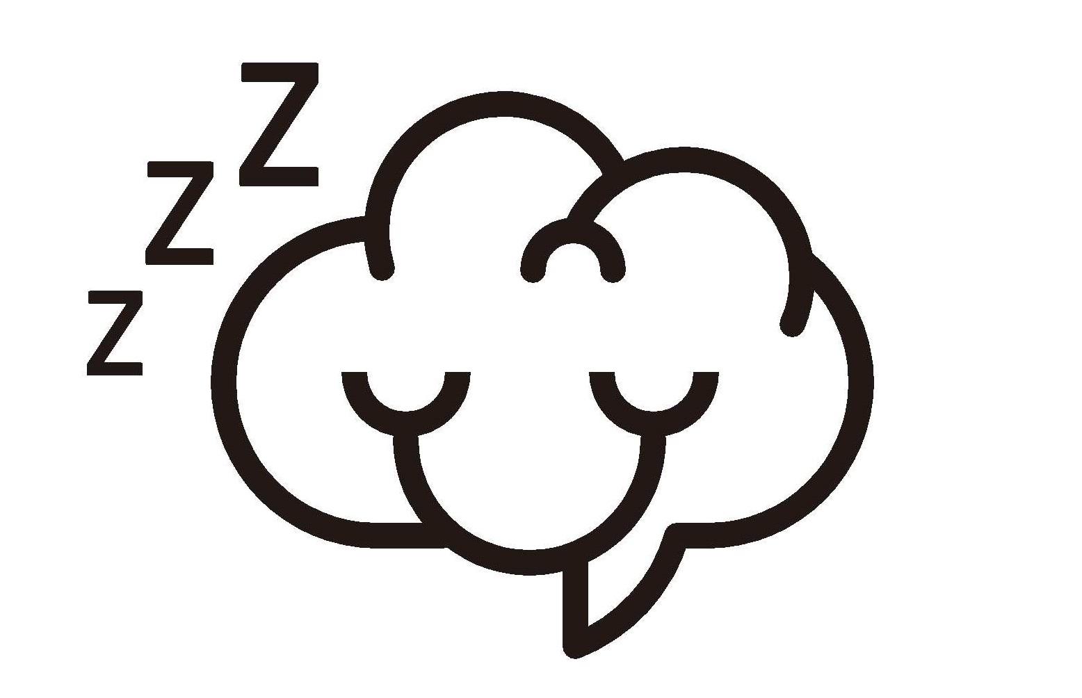 片图标商申请人名称(英文):brain sleep co.