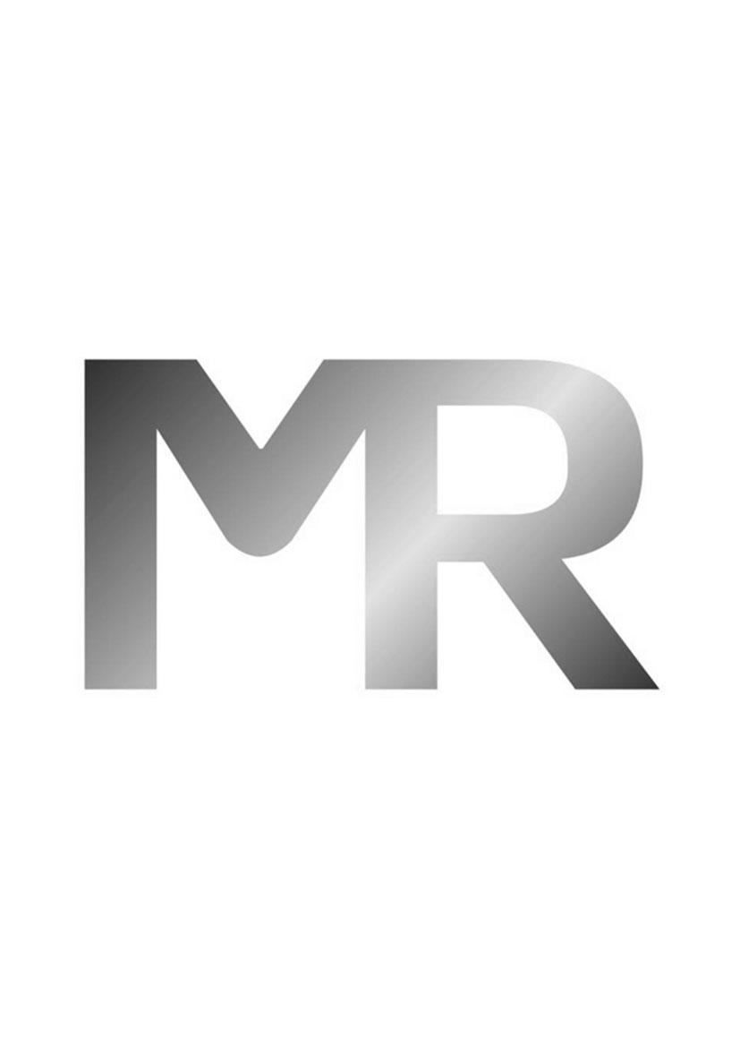 商标文字mr商标注册号 30767171,商标申请人东莞市明瑞灯饰有限公司的