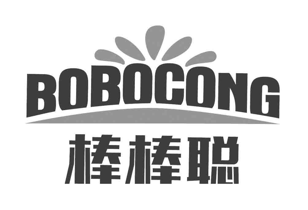 商标文字棒棒聪  bobocong商标注册号 42095068,商标申请人广州棒棒聪