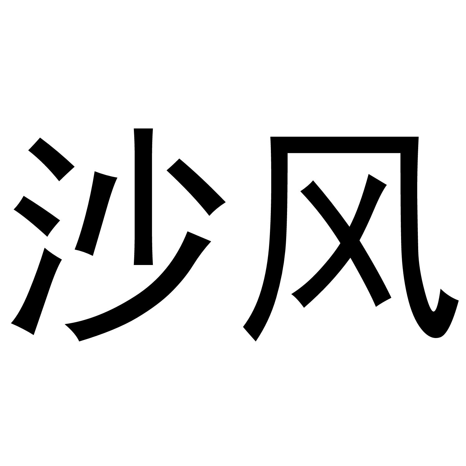 商标文字沙风商标注册号 38767406,商标申请人董庆峰