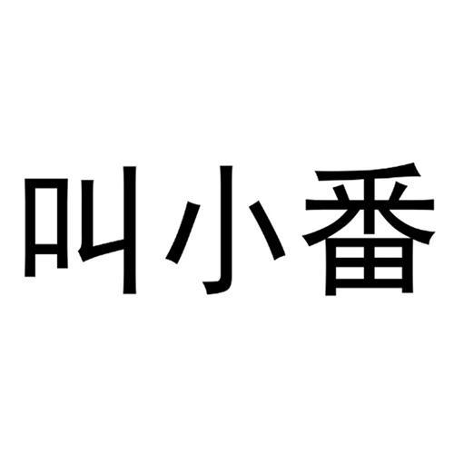 商标文字叫小番商标注册号 53345706,商标申请人江西乙末电子商务有限