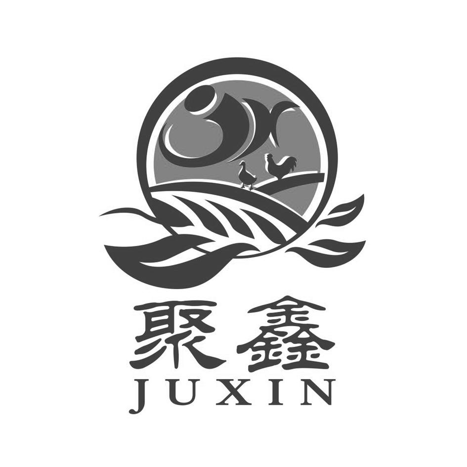 商标文字聚鑫商标注册号 45511560,商标申请人济宁市任城区聚鑫畜禽