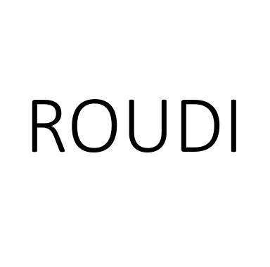 转让商标-ROUDI