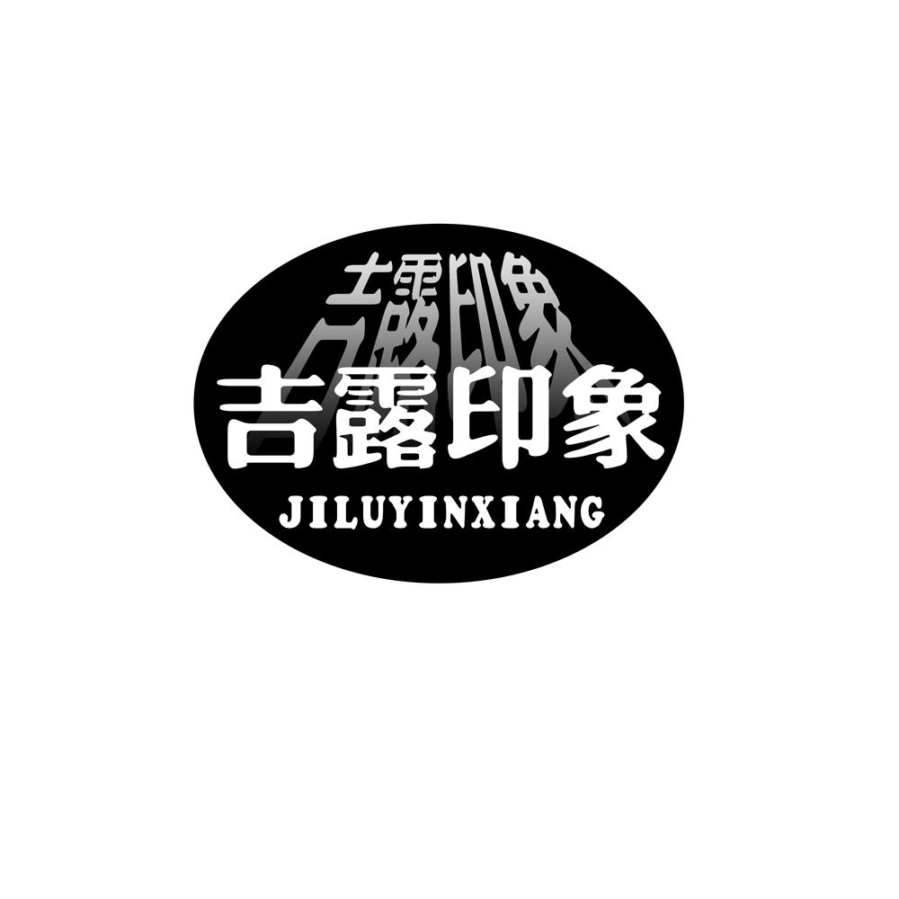 商标文字吉露印象商标注册号 46688297,商标申请人费县亿成装饰材料厂