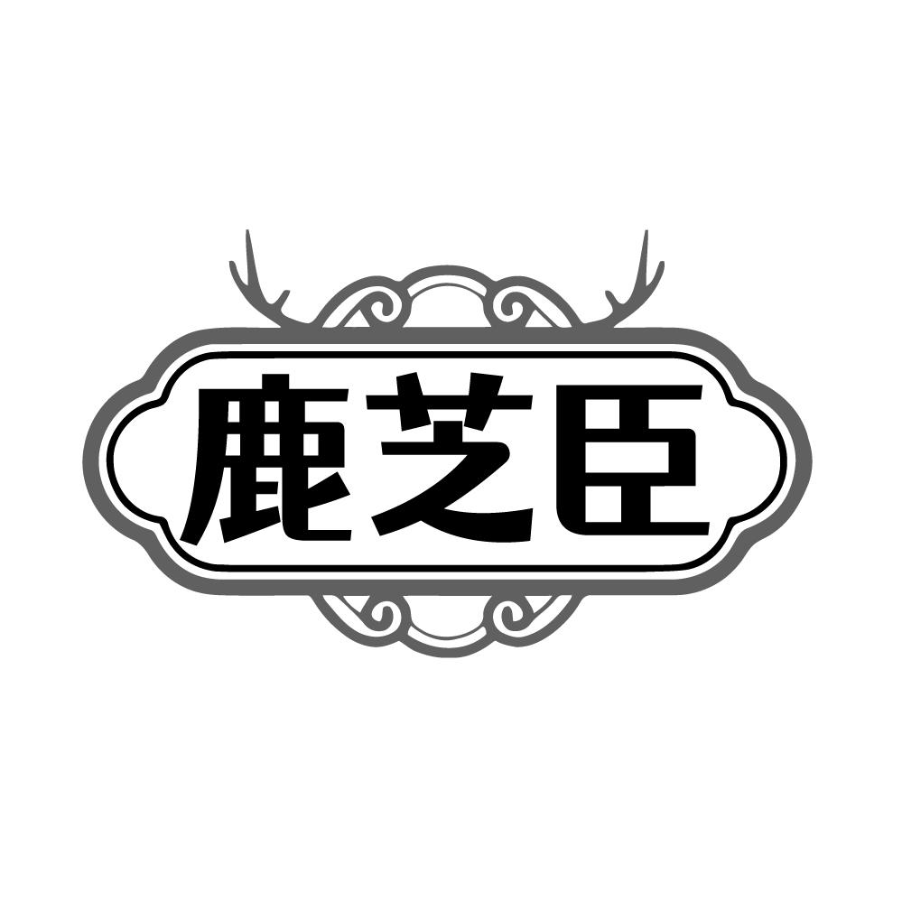 转让商标-鹿芝臣