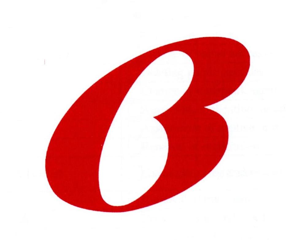 宾格瑞logo图片
