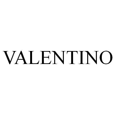 商标文字valentino商标注册号 41672012,商标申请人华伦天奴有限公司