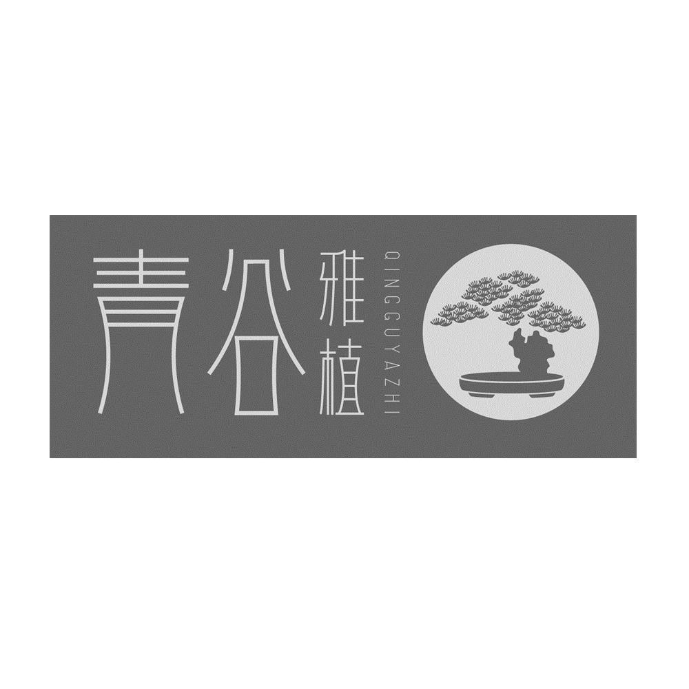 商标文字青谷 雅植商标注册号 45064406,商标申请人龙翠容的商标详情