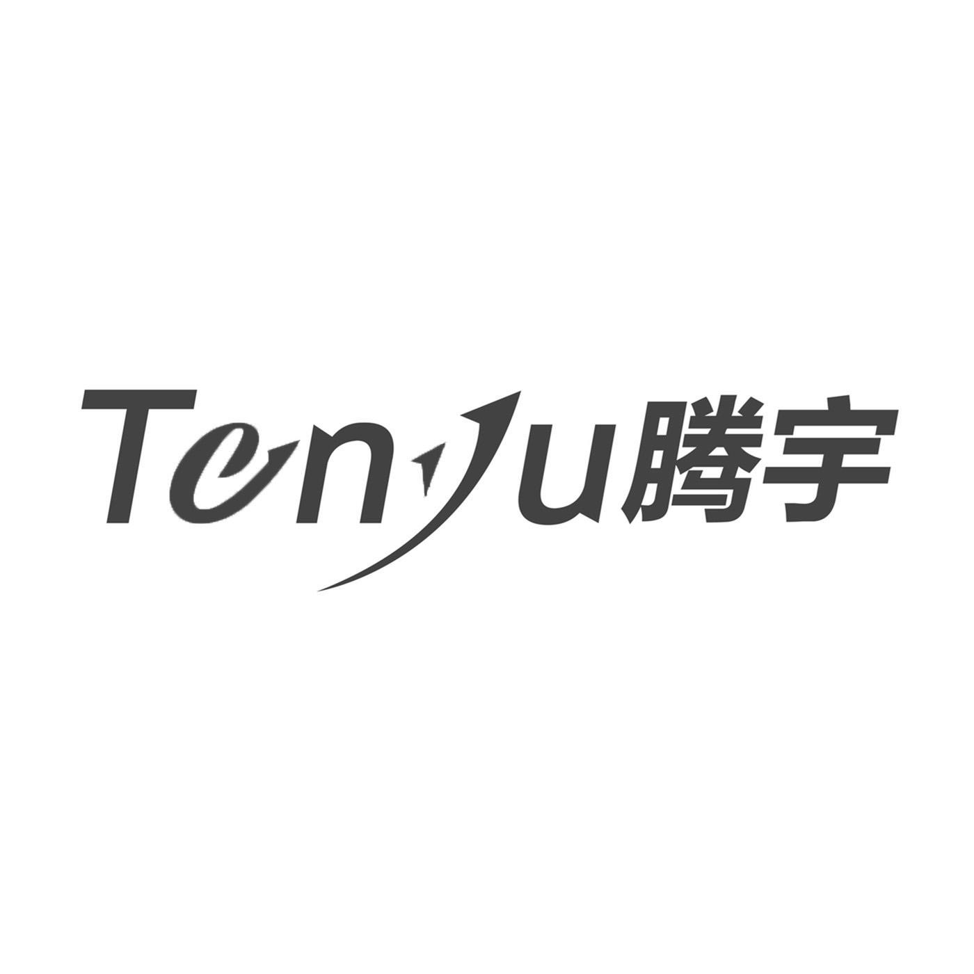商标文字tenyu 腾宇商标注册号 48500210,商标申请人菏泽腾宇信息技术