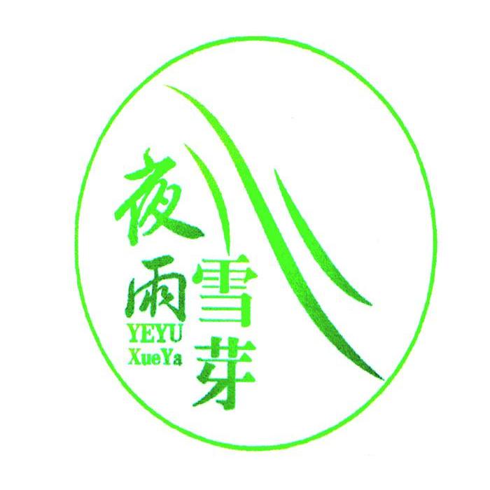 转让商标-夜雨雪芽