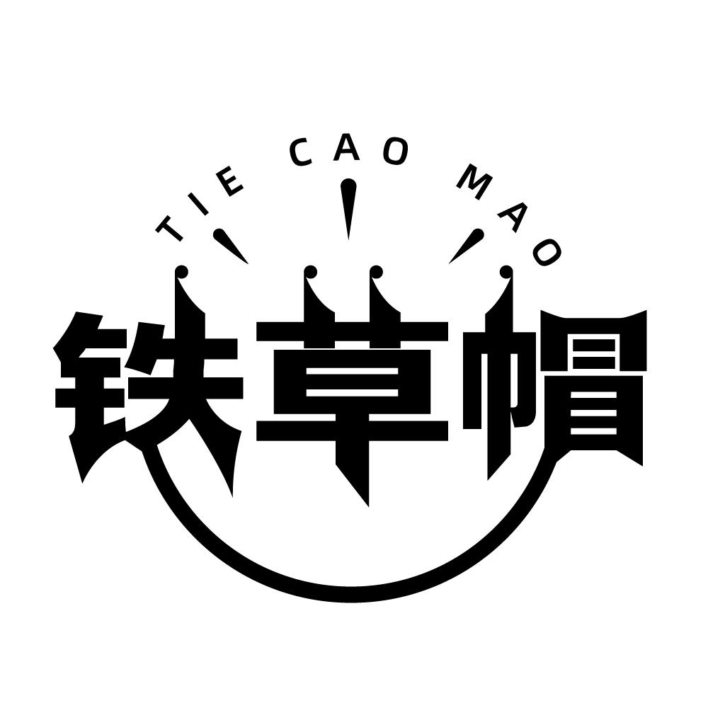 商标文字铁草帽商标注册号 43571708,商标申请人济南壹马企业形象设计