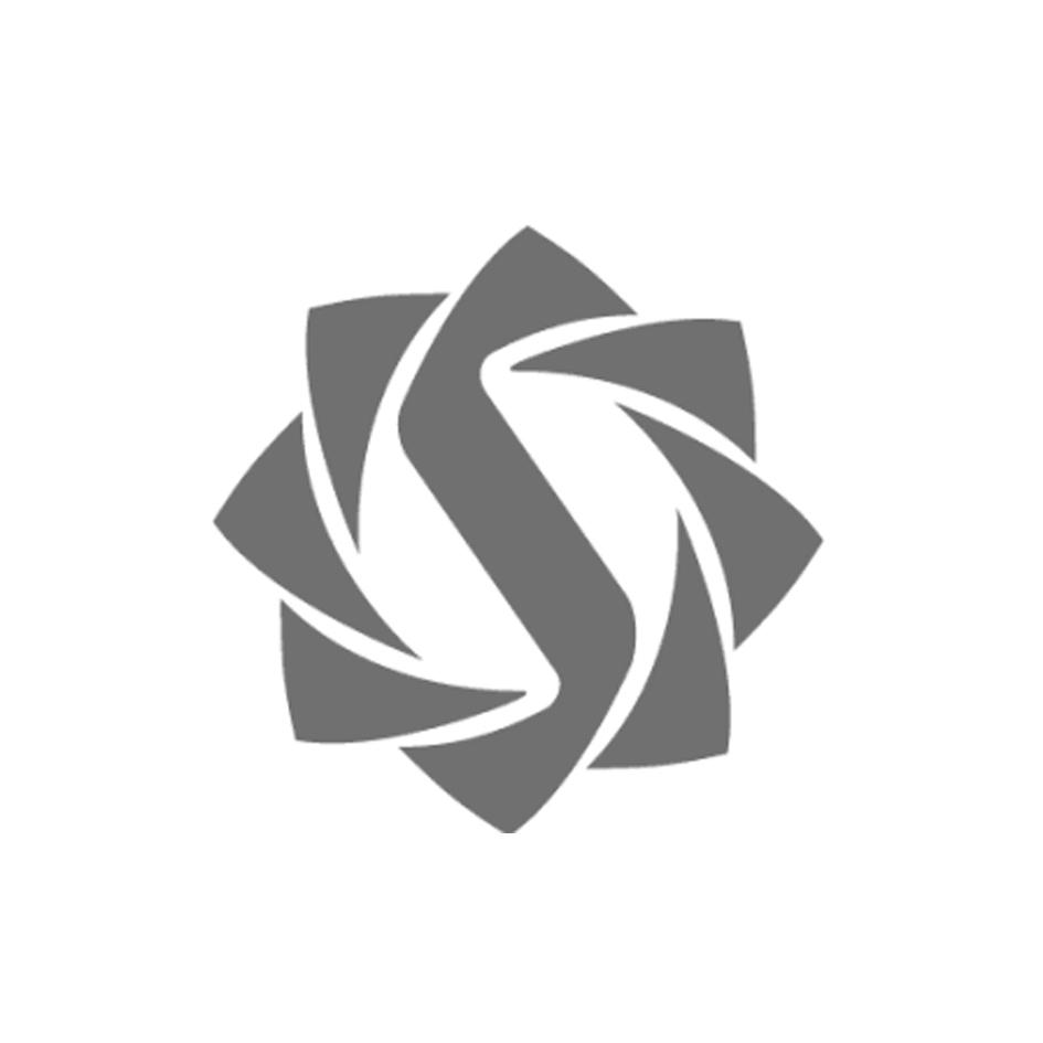 商标文字图形商标注册号 19542059,商标申请人青岛信泰科技有限公司的