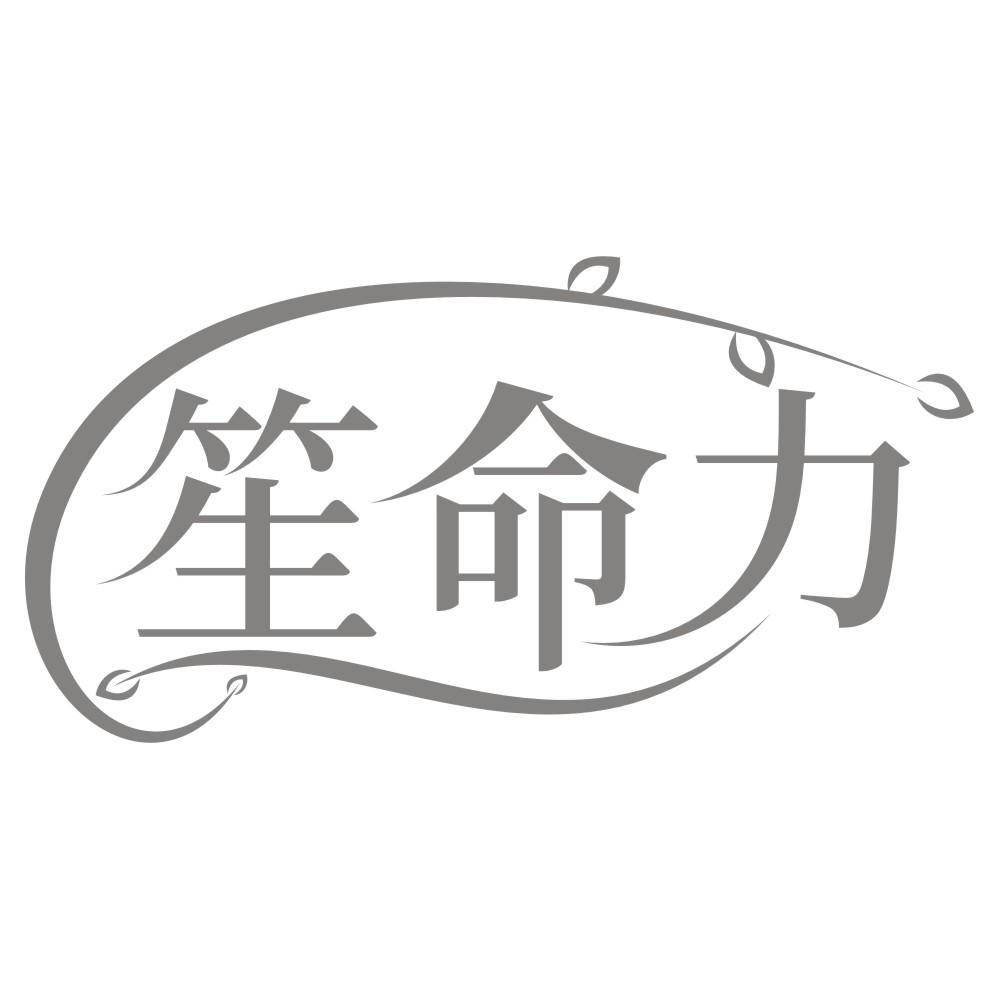 转让商标-笙命力