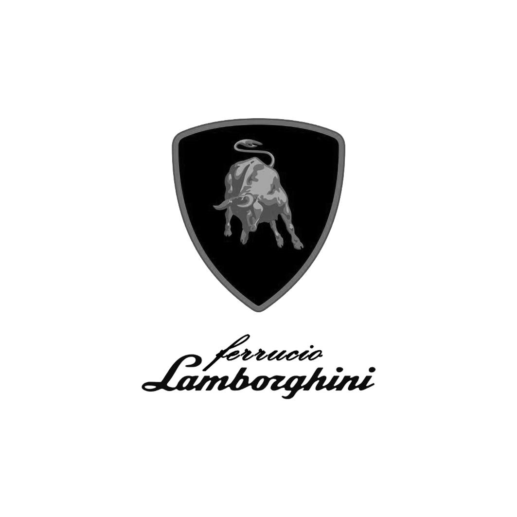 商标文字ferrucio lamborghini商标注册号 33917392,商标申请人费鲁