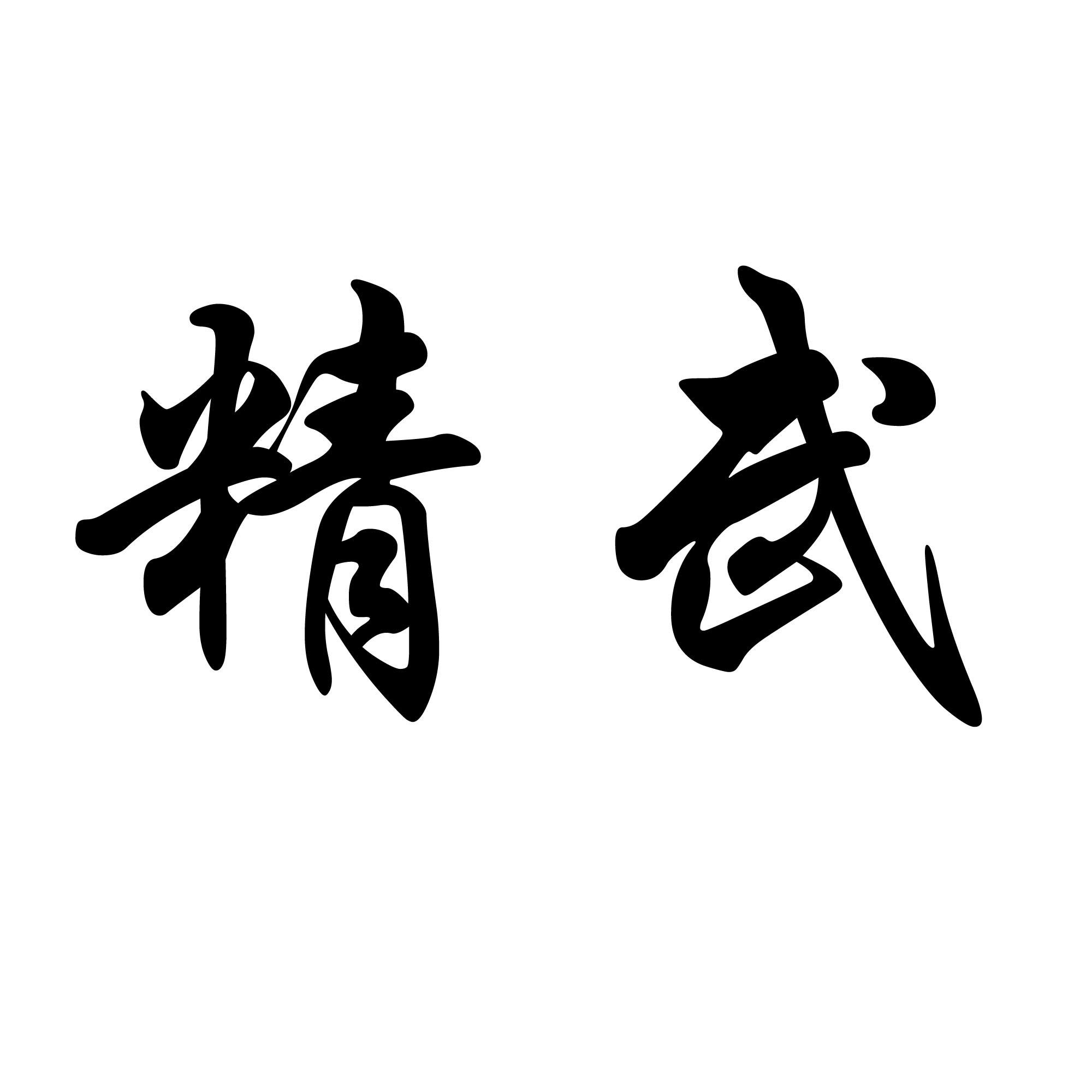 商标文字精武商标注册号 48372370,商标申请人颜新武的商标详情 - 标