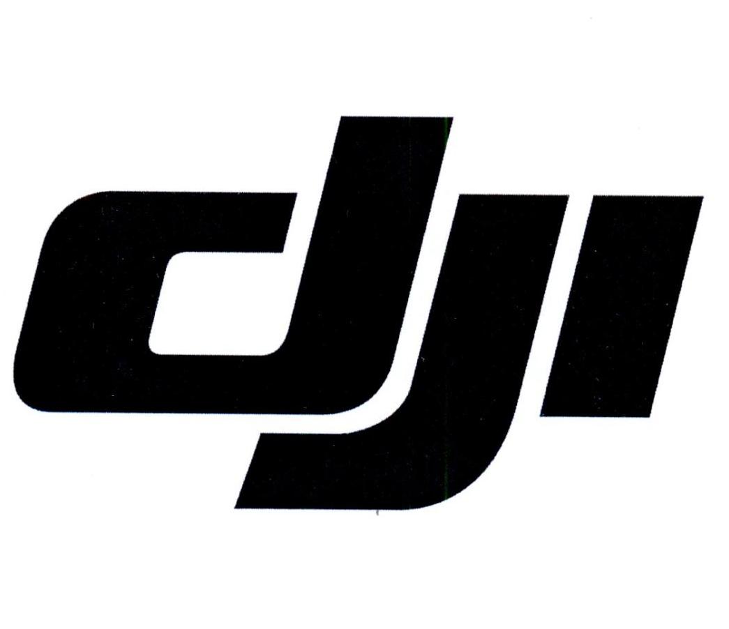 DJI商标标样
