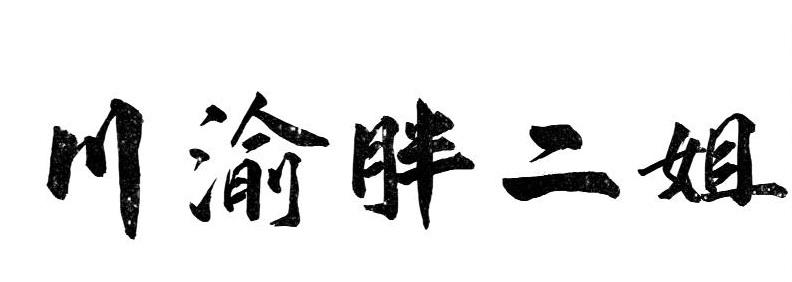 商标文字川渝胖二姐商标注册号 56934194,商标申请人陈文锋的商标详情