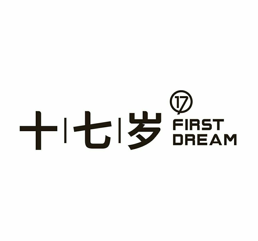 商标文字十七岁 first dream 17商标注册号 49387642,商标申请人柳州