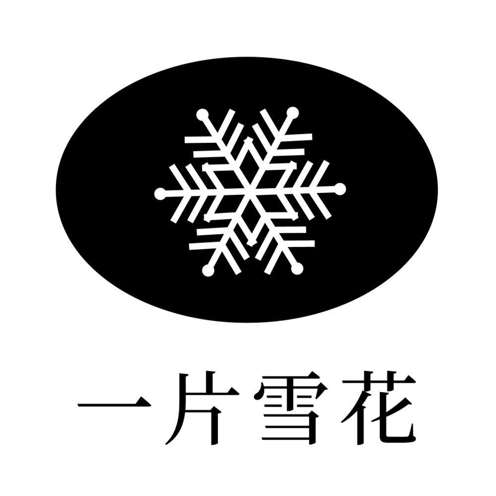 商标文字一片雪花商标注册号 49261268,商标申请人义乌嘉铭进出口有限