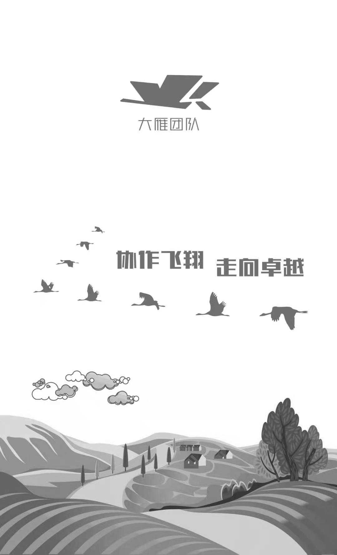 商标文字大雁团队 协作飞翔走向卓越商标注册号 53550444,商标申请人