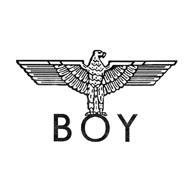 商标文字boy商标注册号 25578038,商标申请人辽宁张晨烁商贸有限公司
