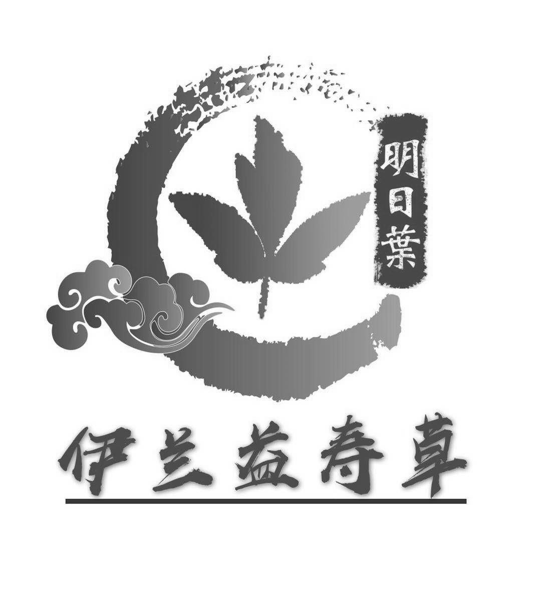 商标名称伊兰益寿草 明日叶商标注册号 45205980,商标申请人日照市