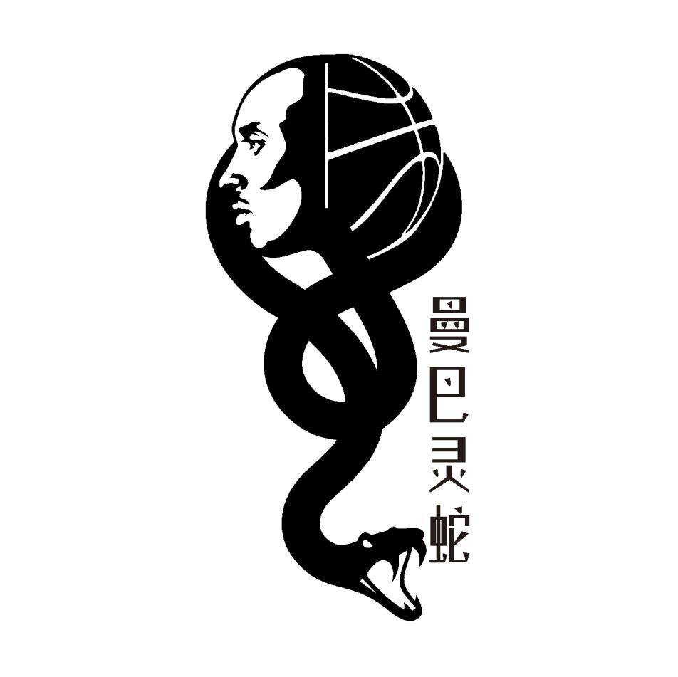 商标文字曼巴灵蛇商标注册号 52642738,商标申请人陈垂猛的商标详情