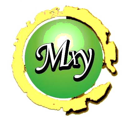 商标文字mxy商标注册号 31140339,商标申请人温州名卓电子商务秘书