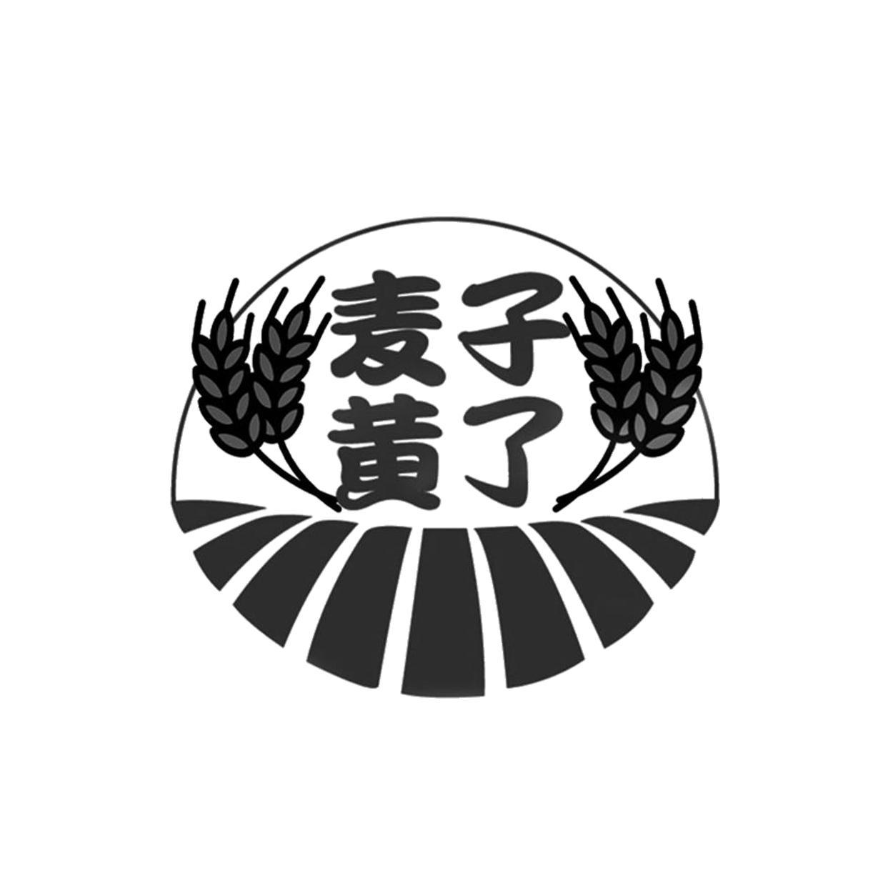 商标文字麦子黄了商标注册号 55109086,商标申请人武汉