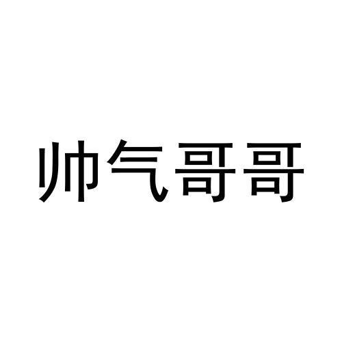 商标文字帅气哥哥商标注册号 59618012,商标申请人正大