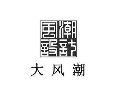 商标文字风潮设计 大风潮商标注册号 56100329,商标申请人盘州市大