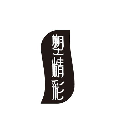 转让商标-塑精彩