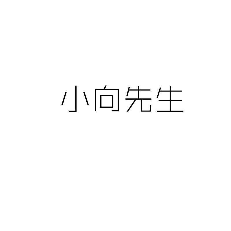 转让商标-小向先生